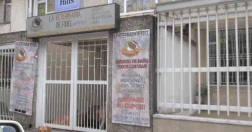 LA VETERINARIA DE FIDEL LA ESPERANZA SUR LA VETERINARIA DE FIDEL LA ESPERANZA SUR